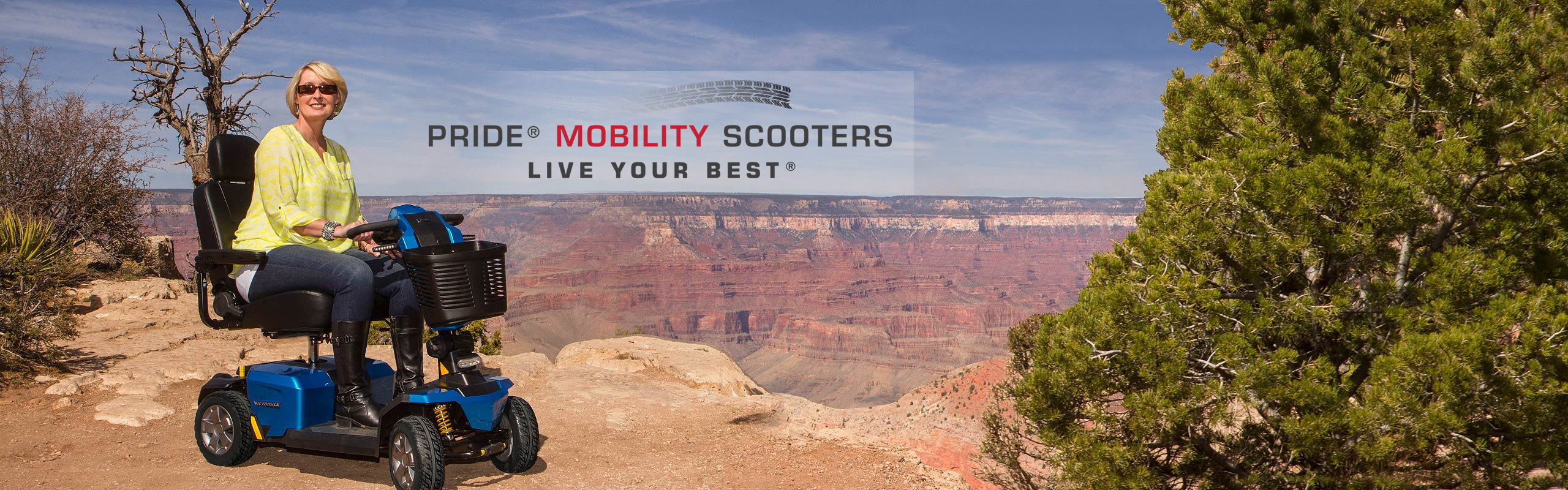 SUN CITY GOGO MOBILITY ELITE TRAVELLER SPORT